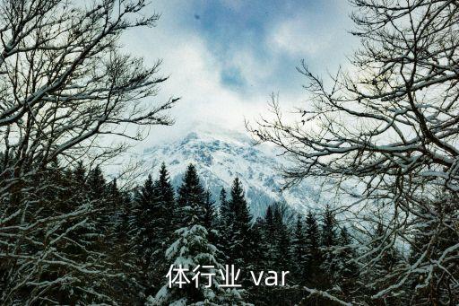 体行业 var