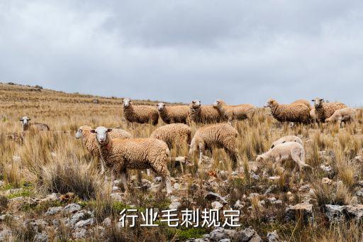 行业毛刺规定