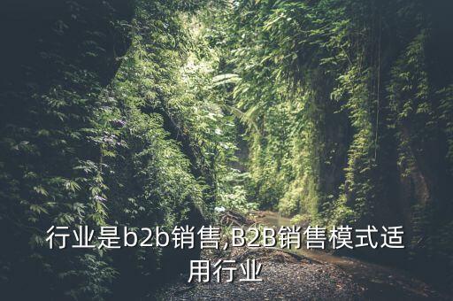 行业是b2b销售,B2B销售模式适用行业