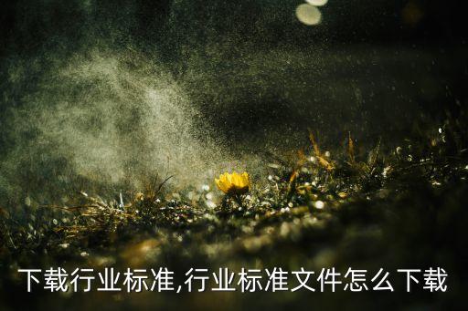 如何下载行业标准,行业标准文件怎么下载