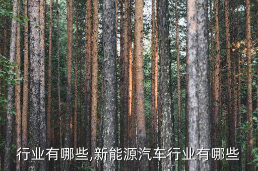 行业有哪些,新能源汽车行业有哪些