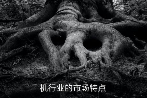 机行业的市场特点