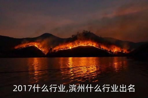 滨州2017什么行业,滨州什么行业出名
