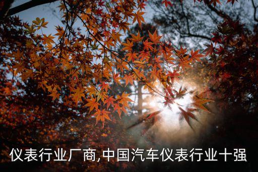 仪表行业厂商,中国汽车仪表行业十强