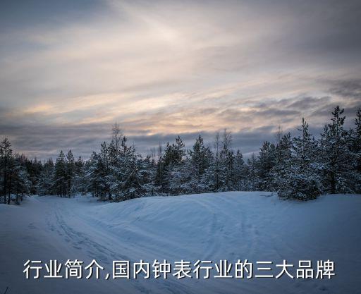 行业简介,国内钟表行业的三大品牌