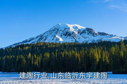 临沂建陶行业,山东临沂东宇建陶