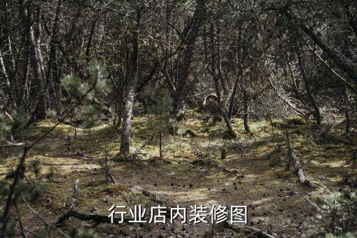 汽修行业店内装修图