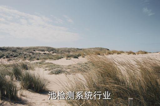 池检测系统行业