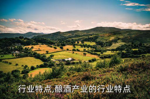 酿酒行业特点,酿酒产业的行业特点