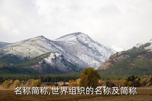 名称简称,世界组织的名称及简称