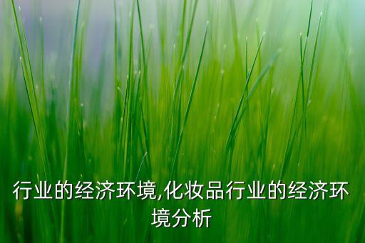 行业的经济环境,化妆品行业的经济环境分析