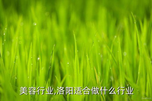 洛阳 美容行业,洛阳适合做什么行业