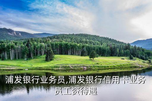 盛泽浦发银行业务员,浦发银行信用卡业务员工资待遇