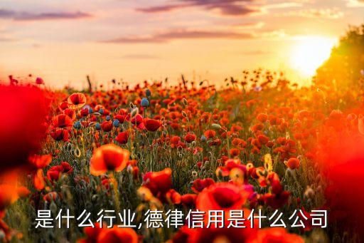是什么行业,德律信用是什么公司