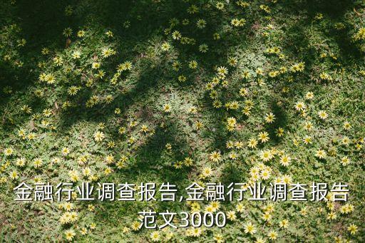 金融行业调查报告,金融行业调查报告范文3000