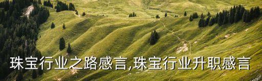 珠宝行业之路感言,珠宝行业升职感言