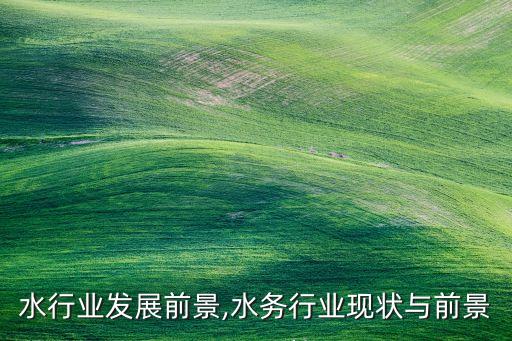 自来水行业发展前景,水务行业现状与前景