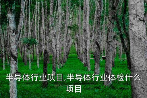 半导体行业项目,半导体行业体检什么项目