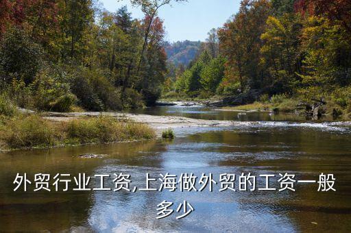上海外贸行业工资,上海做外贸的工资一般多少