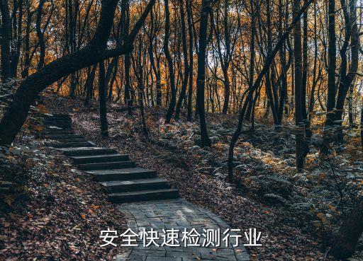 安全快速检测行业