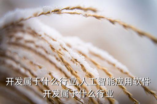 开发属于什么行业,人工智能应用软件开发属于什么行业