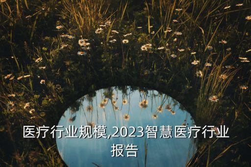 智慧医疗行业规模,2023智慧医疗行业报告