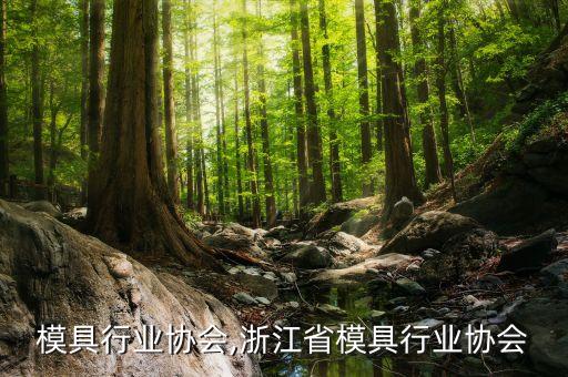 辽宁模具行业协会,浙江省模具行业协会