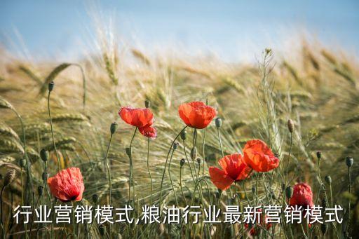 装饰行业营销模式,粮油行业最新营销模式