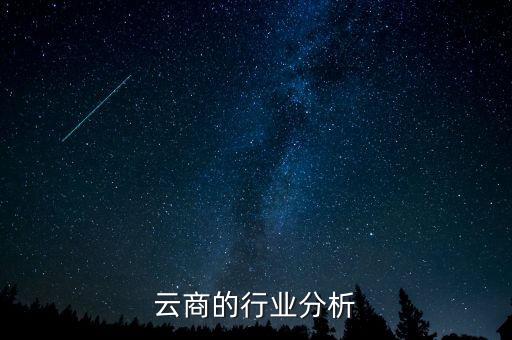 云商的行业分析