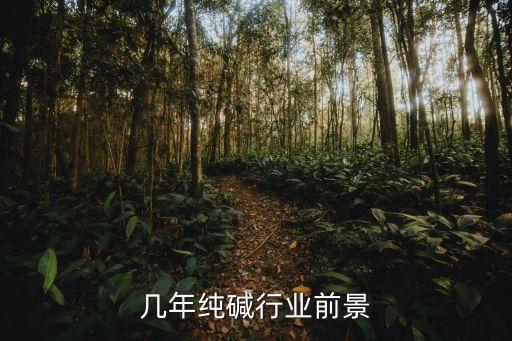 未来几年纯碱行业前景