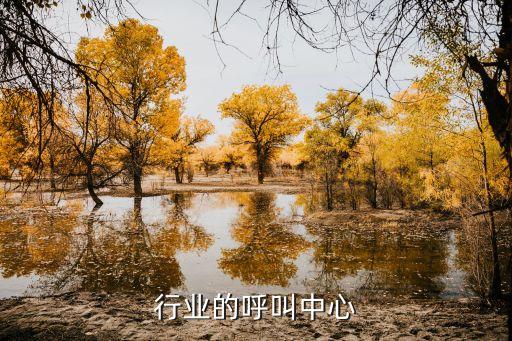 行业的呼叫中心