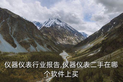 二手仪器仪表行业报告,仪器仪表二手在哪个软件上买