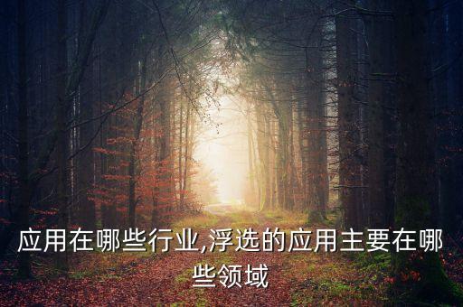 浮选应用在哪些行业,浮选的应用主要在哪些领域