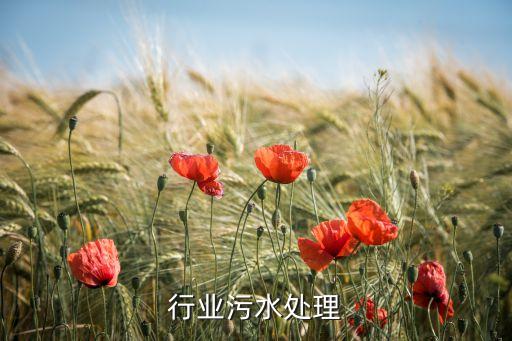 钢铁行业污水处理