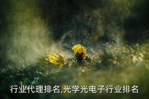 行业代理排名,光学光电子行业排名