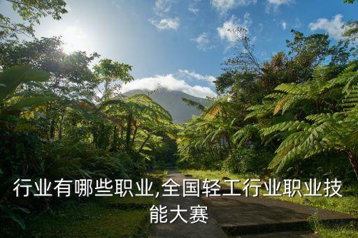 轻工行业有哪些职业,全国轻工行业职业技能大赛