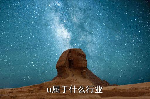 u属于什么行业