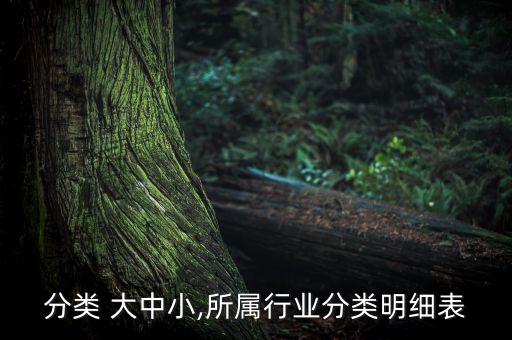 行业分类 大中小,所属行业分类明细表