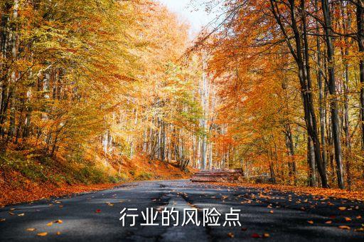 行业的风险点
