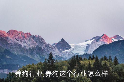国内养狗行业,养狗这个行业怎么样