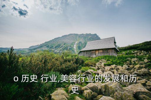 ofo 历史 行业,美容行业的发展和历史