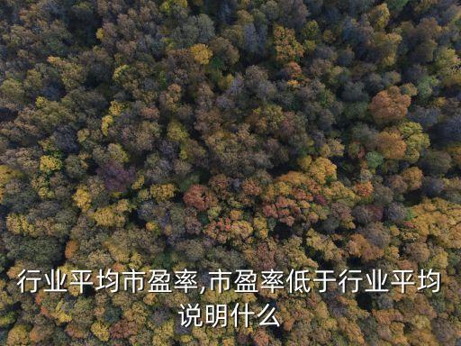 化纤行业平均市盈率,市盈率低于行业平均说明什么