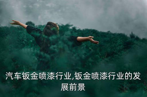 论述汽车钣金喷漆行业,钣金喷漆行业的发展前景