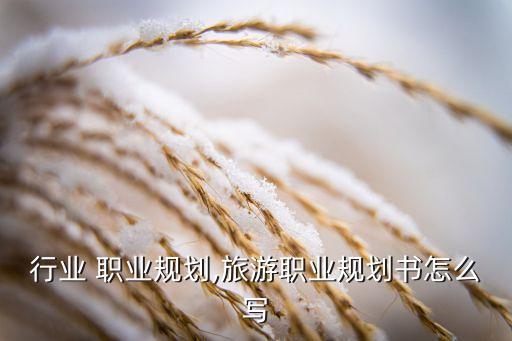 行业 职业规划,旅游职业规划书怎么写