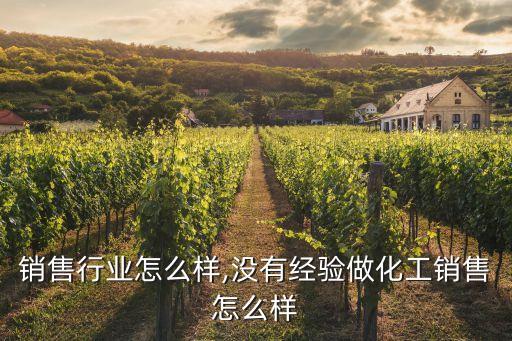 销售行业怎么样,没有经验做化工销售怎么样
