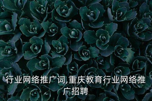 行业网络推广词,重庆教育行业网络推广招聘