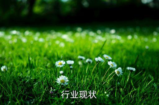 麻薯行业现状
