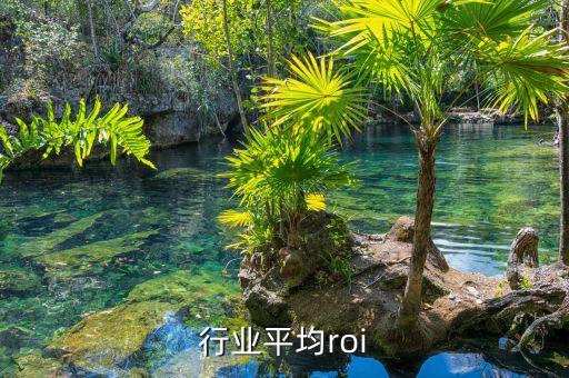 酒类行业平均roi