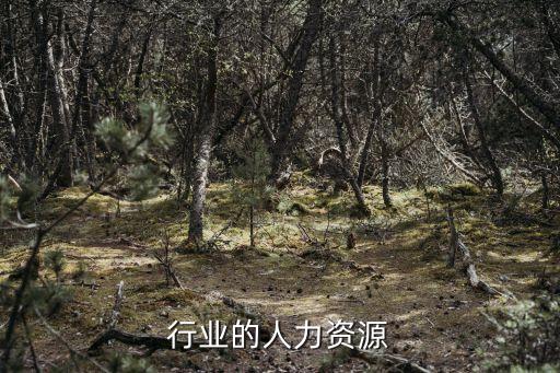 物流行业的人力资源