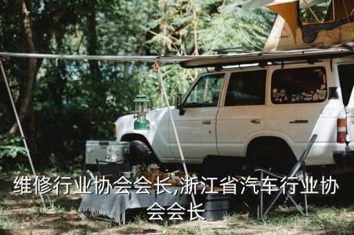 维修行业协会会长,浙江省汽车行业协会会长
